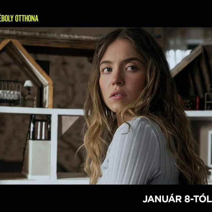 The Housemaid – A téboly otthona Teljes film magyarul ~Videa HD的头像