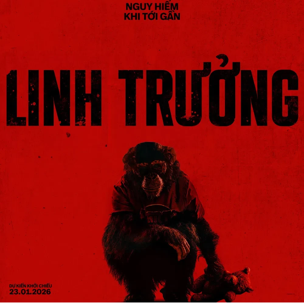 Xem phim Linh Trưởng (2026) Vietsub Full HD Thuyết Minh Phimmoi的头像