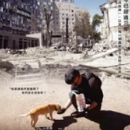 《戰火下的毛孩 (2026)》電影線上看2026【字幕/配音】的头像