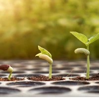 l2338337489的头像