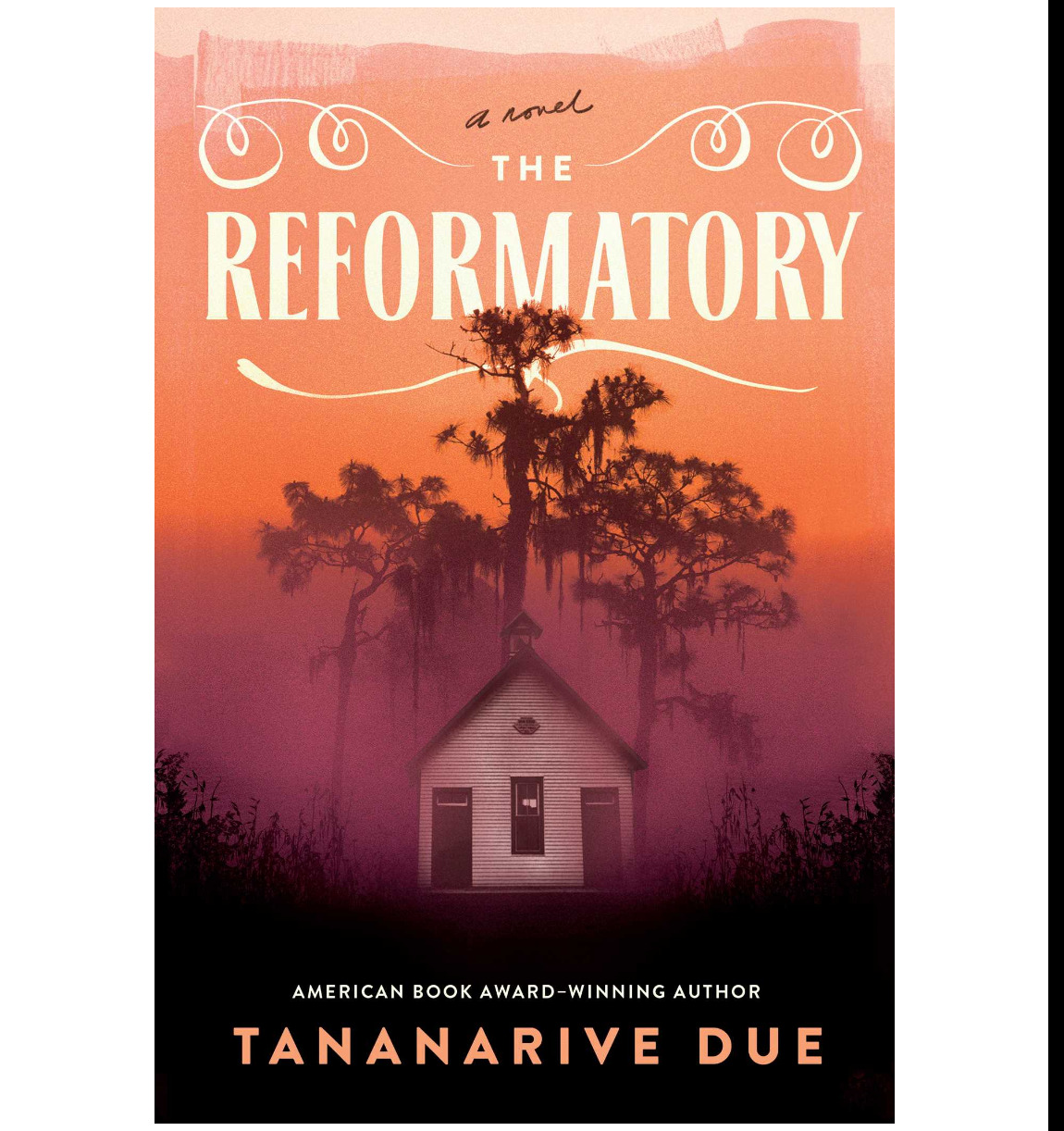 (Read) PDF Book The Reformatory by Tananarive Due